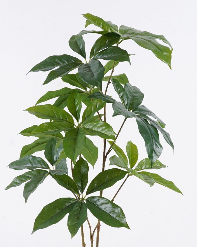 Artificial Tree 40*40*86cm Seven-star leaves *3 in PP pot GS-69425017 2026Apr YeahFlower is one of Chinese leading OEM manufacturers and exporters , supplying the silk flowers, wholesale artificial trees