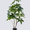 Artificial Tree 65*50*120cm Seven-star leaves in PP pot GS-69425018 2026Apr YeahFlower is one of Chinese leading OEM manufacturers and exporters , supplying the silk flowers, wholesale artificial trees