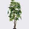 Artificial Tree 80*65*180cm Seven-star leaves in PP pot GS-69425020KD 2026Apr YeahFlower is one of Chinese leading OEM manufacturers and exporters , supplying the silk flowers, wholesale artificial trees