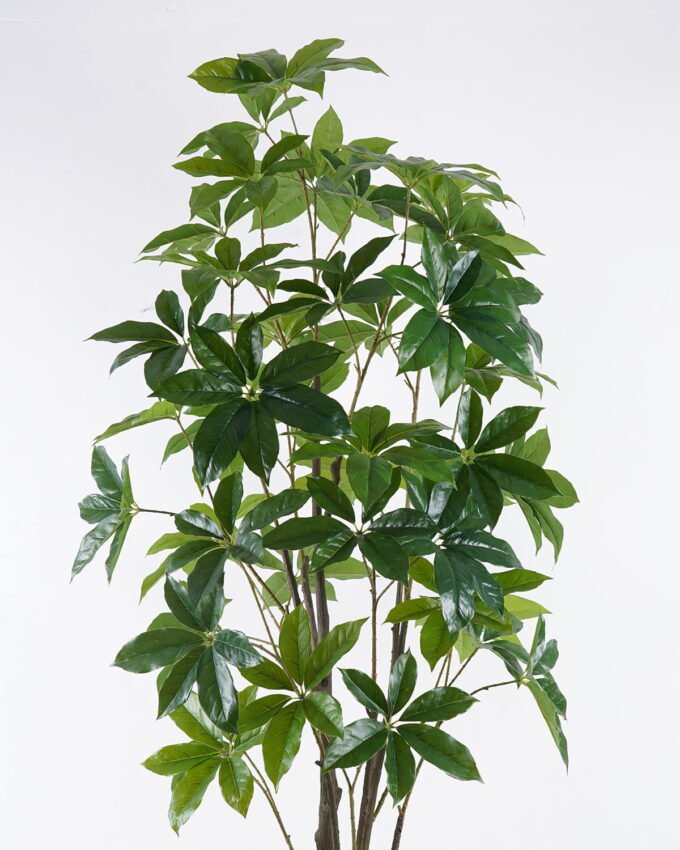 Artificial Tree 80*65*180cm Seven-star leaves in PP pot GS-69425020KD 2026Apr YeahFlower is one of Chinese leading OEM manufacturers and exporters , supplying the silk flowers, wholesale artificial trees
