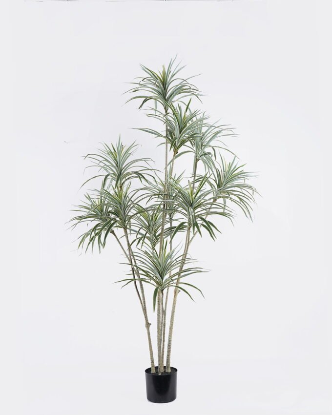 Artificial Tree 85*65*180cm White edge Grass *10 in PP pot/500 lvs GS-30425017 2026Apr YeahFlower is one of Chinese leading OEM manufacturers and exporters , supplying the silk flowers, wholesale artificial trees