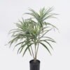 Artificial Tree 55*50*70cm White edge Grass *3 in PP pot/150 lvs GS-30425015 2026Apr YeahFlower is one of Chinese leading OEM manufacturers and exporters , supplying the silk flowers, wholesale artificial trees