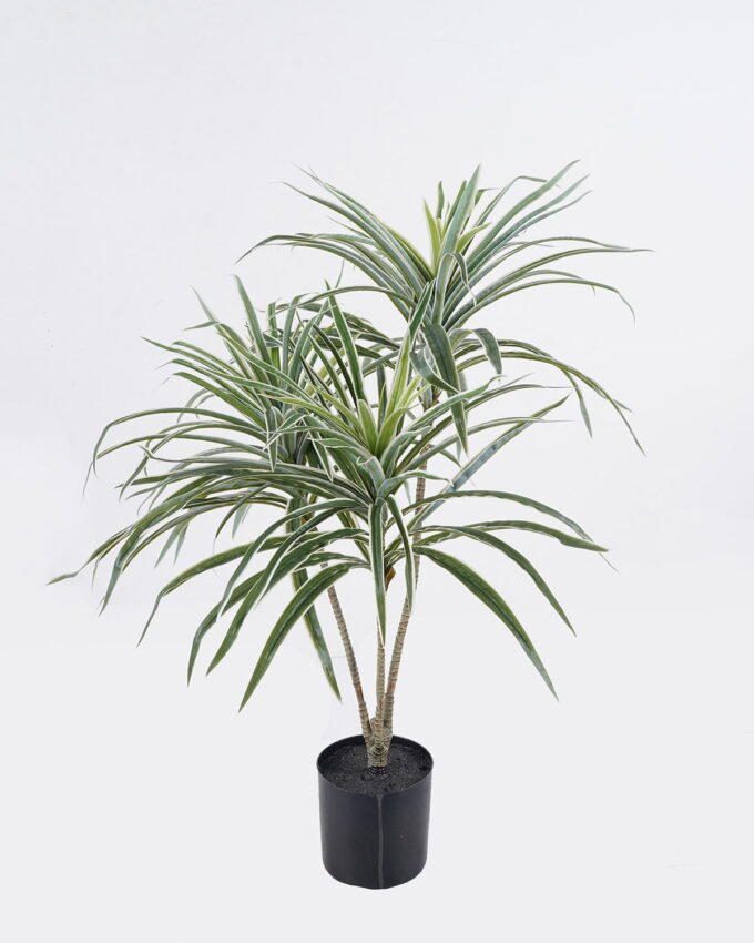 Artificial Tree 55*50*70cm White edge Grass *3 in PP pot/150 lvs GS-30425015 2026Apr YeahFlower is one of Chinese leading OEM manufacturers and exporters , supplying the silk flowers, wholesale artificial trees