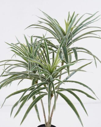 Artificial Tree 55*50*70cm White edge Grass *3 in PP pot/150 lvs GS-30425015 2026Apr YeahFlower is one of Chinese leading OEM manufacturers and exporters , supplying the silk flowers, wholesale artificial trees