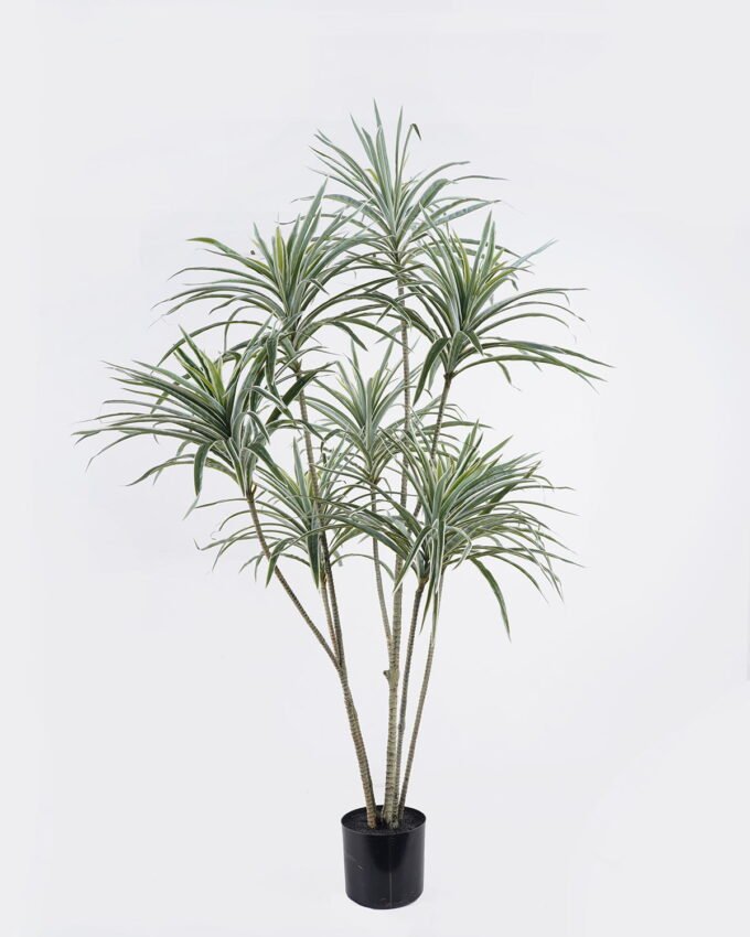 Artificial Tree 75*55*140cm White edge Grass *8 in PP pot/400 lvs GS-30425016 2026Apr YeahFlower is one of Chinese leading OEM manufacturers and exporters , supplying the silk flowers, wholesale artificial trees