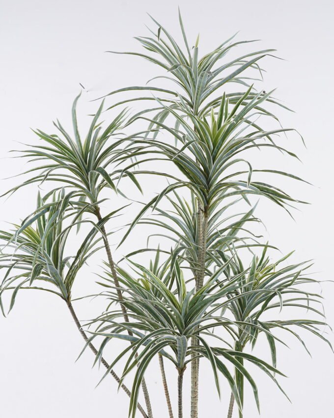 Artificial Tree 75*55*140cm White edge Grass *8 in PP pot/400 lvs GS-30425016 2026Apr YeahFlower is one of Chinese leading OEM manufacturers and exporters , supplying the silk flowers, wholesale artificial trees