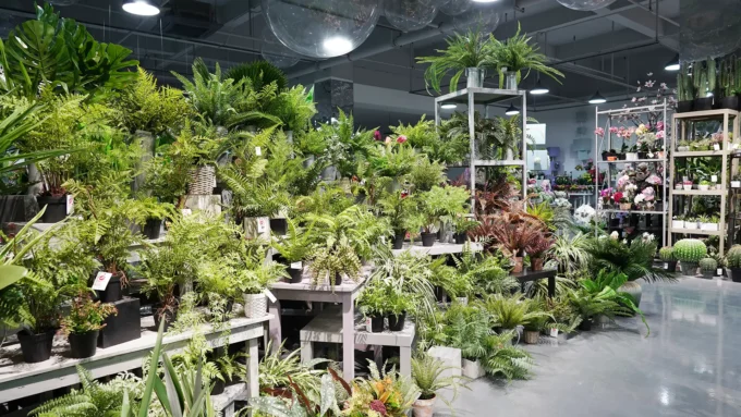 artificial plant production sample room artificial plant production sample room