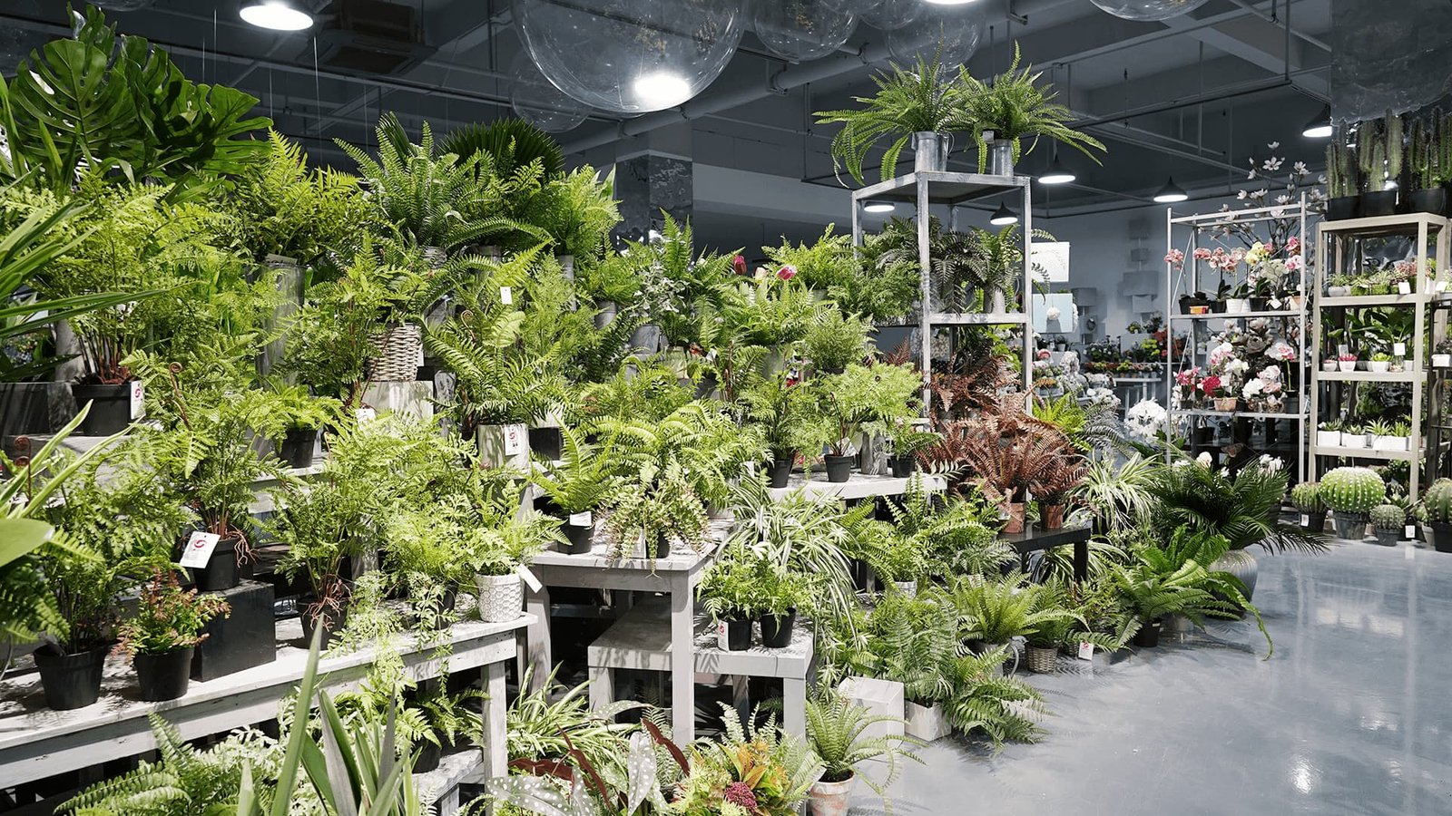 artificial plant production sample room