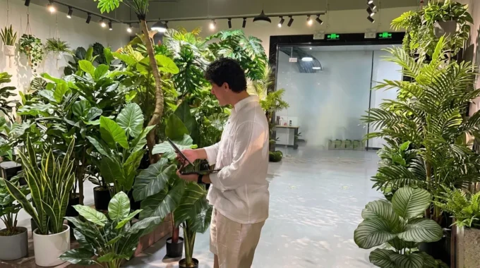 Customers Selecting Artificial Trees at YeahFlower Showroom (1) Customers Selecting Artificial Trees at YeahFlower Showroom