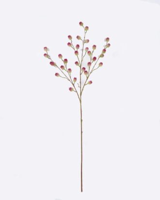 Artificial Branch fruit 27*6*125cm Berry single stem GS-15426014 2026Jun 3,000+ sqm showroom with thousands of artificial flowers, plants & trees ready for global sourcing. Artificial Branch fruit 27*6*125cm Berry single stem GS-15426014 2026Jun 3,000+ sqm showroom with thousands of artificial flowers, plants & trees ready for global sourcing.