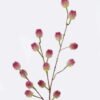 Artificial Branch fruit 21*6*93cm Berry single stem GS-15426015 2026Jun 3,000+ sqm showroom with thousands of artificial flowers, plants & trees ready for global sourcing.