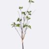 Artificial Branch fruit Bilberry 3 bundle GS-83626012_4 Artificial Branch fruit 15*9*65cm Bilberry *3 bundle GS-83626012 2026SEP 3,000+ sqm showroom with thousands of artificial flowers, plants & trees ready for global sourcing.