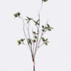 Artificial Branch fruit Bilberry 3 bundle GS-83626012_6 Artificial Branch fruit 15*9*65cm Bilberry *3 bundle GS-83626012 2026SEP 3,000+ sqm showroom with thousands of artificial flowers, plants & trees ready for global sourcing.