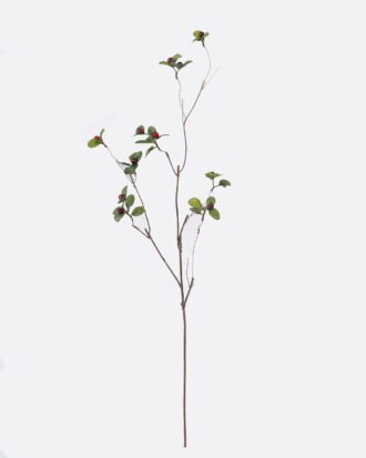 Artificial Branch fruit 15*10*87cm Bilberry single stem GS-83626010-R2 2026SEP 3,000+ sqm showroom with thousands of artificial flowers, plants & trees ready for global sourcing. Artificial Branch fruit 15*10*87cm Bilberry single stem GS-83626010-R2 2026SEP 3,000+ sqm showroom with thousands of artificial flowers, plants & trees ready for global sourcing.