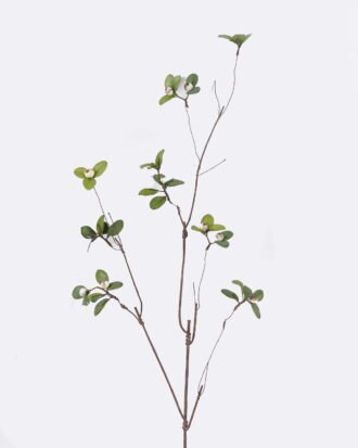 Artificial Branch fruit 15*10*87cm Bilberry single stem GS-83626010-W1 2026SEP 3,000+ sqm showroom with thousands of artificial flowers, plants & trees ready for global sourcing. Artificial Branch fruit 15*10*87cm Bilberry single stem GS-83626010-W1 2026SEP 3,000+ sqm showroom with thousands of artificial flowers, plants & trees ready for global sourcing.