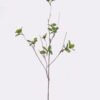 Artificial Branch fruit Bilberry single stem GS-83626011_4 Artificial Branch fruit 15*8*61cm Bilberry single stem GS-83626011 2026SEP 3,000+ sqm showroom with thousands of artificial flowers, plants & trees ready for global sourcing.