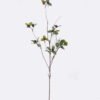 Artificial Branch fruit Bilberry single stem GS-83626011_6 Artificial Branch fruit 15*8*61cm Bilberry single stem GS-83626011 2026SEP 3,000+ sqm showroom with thousands of artificial flowers, plants & trees ready for global sourcing.