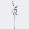 Artificial Branch fruit Eucalyptus fruit single stem GS-57726008_3 Artificial Branch fruit 14*8*127cm Eucalyptus fruit single stem GS-57726008 2026Aug 3,000+ sqm showroom with thousands of artificial flowers, plants & trees ready for global sourcing.