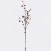 Artificial Branch fruit Eucalyptus fruit single stem GS-57726008_4 Artificial Branch fruit 14*8*127cm Eucalyptus fruit single stem GS-57726008 2026Aug 3,000+ sqm showroom with thousands of artificial flowers, plants & trees ready for global sourcing.