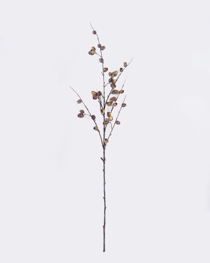 Artificial Branch fruit Eucalyptus fruit single stem GS-57726008_4 Artificial Branch fruit 14*8*127cm Eucalyptus fruit single stem GS-57726008 2026Aug 3,000+ sqm showroom with thousands of artificial flowers, plants & trees ready for global sourcing.