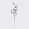 Artificial Branch fruit Eucalyptus fruit single stem GS-57726008_5 Artificial Branch fruit 14*8*127cm Eucalyptus fruit single stem GS-57726008 2026Aug 3,000+ sqm showroom with thousands of artificial flowers, plants & trees ready for global sourcing.