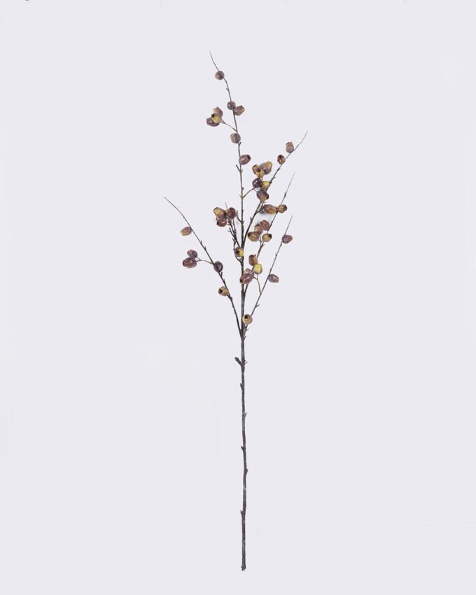 Artificial Branch fruit Eucalyptus fruit single stem GS-57726008_5 Artificial Branch fruit 14*8*127cm Eucalyptus fruit single stem GS-57726008 2026Aug 3,000+ sqm showroom with thousands of artificial flowers, plants & trees ready for global sourcing.