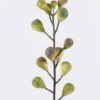Artificial Branch fruit Fig single stem GS-57726007_2 Artificial Branch fruit 12*8*93cm Fig single stem GS-57726007 2026Aug 3,000+ sqm showroom with thousands of artificial flowers, plants & trees ready for global sourcing.