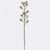 Artificial Branch fruit Fig single stem GS-57726007_3 Artificial Branch fruit 12*8*93cm Fig single stem GS-57726007 2026Aug 3,000+ sqm showroom with thousands of artificial flowers, plants & trees ready for global sourcing.