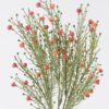 Artificial Branch fruit Fruit 5 bush GS-84126006-O1_1 Artificial Branch fruit 12*4*40cm Fruit *5 bush GS-84126006-O1 2026SEP 3,000+ sqm showroom with thousands of artificial flowers, plants & trees ready for global sourcing.