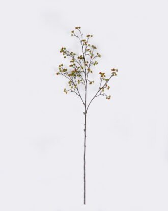 Artificial Branch fruit 20*5*105cm Fruit single stem GS-57726006 2026Aug 3,000+ sqm showroom with thousands of artificial flowers, plants & trees ready for global sourcing. Artificial Branch fruit 20*5*105cm Fruit single stem GS-57726006 2026Aug 3,000+ sqm showroom with thousands of artificial flowers, plants & trees ready for global sourcing.