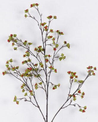 Artificial Branch fruit 20*5*105cm Fruit single stem GS-57726006 2026Aug 3,000+ sqm showroom with thousands of artificial flowers, plants & trees ready for global sourcing. Artificial Branch fruit 20*5*105cm Fruit single stem GS-57726006 2026Aug 3,000+ sqm showroom with thousands of artificial flowers, plants & trees ready for global sourcing.
