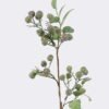 Artificial Branch fruit Fruit single stem GS-83626005_2 Artificial Branch fruit 12*6*45cm Fruit single stem GS-83626005 2026SEP 3,000+ sqm showroom with thousands of artificial flowers, plants & trees ready for global sourcing.