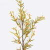 Artificial Branch fruit Fruit single stem GS-83726007_2 Artificial Branch fruit 20*5*79cm Fruit single stem GS-83726007 2026SEP 3,000+ sqm showroom with thousands of artificial flowers, plants & trees ready for global sourcing.