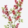 Artificial Branch fruit Fruit single stem GS-83726009_2 Artificial Branch fruit 20*8*90cm Fruit single stem GS-83726009 2026SEP 3,000+ sqm showroom with thousands of artificial flowers, plants & trees ready for global sourcing.