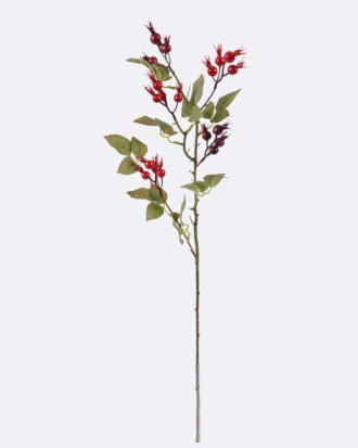 Artificial Branch fruit 15*5*71cm Fruit single stem GS-83726010 2026SEP 3,000+ sqm showroom with thousands of artificial flowers, plants & trees ready for global sourcing. Artificial Branch fruit 15*5*71cm Fruit single stem GS-83726010 2026SEP 3,000+ sqm showroom with thousands of artificial flowers, plants & trees ready for global sourcing.