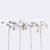Artificial Branch fruit Gourd fruit single stem GS-83626006_1 Artificial Branch fruit 10*5*110cm Gourd fruit single stem GS-83626006 2026SEP 3,000+ sqm showroom with thousands of artificial flowers, plants & trees ready for global sourcing.