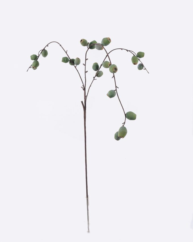Artificial Branch fruit Gourd fruit single stem GS-83626006_4 Artificial Branch fruit 10*5*110cm Gourd fruit single stem GS-83626006 2026SEP 3,000+ sqm showroom with thousands of artificial flowers, plants & trees ready for global sourcing.