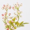 Artificial Branch fruit Grape Fruit 5 single stem GS-51626006-P1_2 Artificial Branch fruit 12*6*41cm Grape Fruit *5 single stem GS-51626006-P1 2026Aug 3,000+ sqm showroom with thousands of artificial flowers, plants & trees ready for global sourcing.