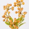 Artificial Branch fruit Grape Fruit 5 single stem GS-51626006_5 Artificial Branch fruit 12*6*41cm Grape Fruit *5 single stem GS-51626006 2026Aug 3,000+ sqm showroom with thousands of artificial flowers, plants & trees ready for global sourcing.