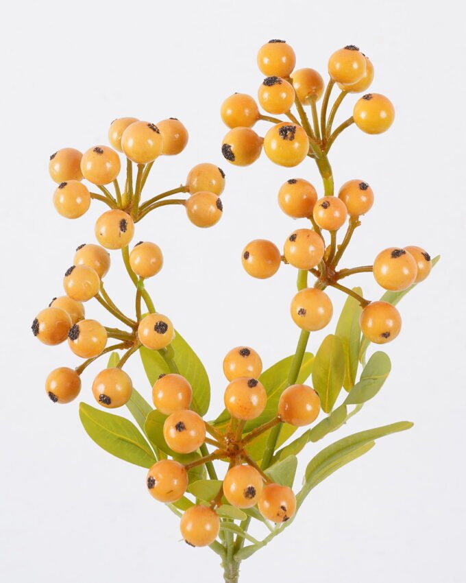 Artificial Branch fruit Grape Fruit 5 single stem GS-51626006_5 Artificial Branch fruit 12*6*41cm Grape Fruit *5 single stem GS-51626006 2026Aug 3,000+ sqm showroom with thousands of artificial flowers, plants & trees ready for global sourcing.