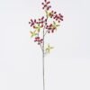 Artificial Branch fruit Grape Fruit 7 single stem GS-51626010-O Artificial Branch fruit 24*6*81cm Grape Fruit *7 single stem GS-51626010-O 2026Aug 3,000+ sqm showroom with thousands of artificial flowers, plants & trees ready for global sourcing.