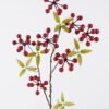 Artificial Branch fruit Grape Fruit 7 single stem GS-51626010-O1_2 Artificial Branch fruit 24*6*81cm Grape Fruit *7 single stem GS-51626010-O1 2026Aug 3,000+ sqm showroom with thousands of artificial flowers, plants & trees ready for global sourcing.