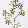 Artificial Branch fruit Grape Fruit 7 single stem GS-51626010_2 Artificial Branch fruit 24*6*81cm Grape Fruit *7 single stem GS-51626010 2026Aug 3,000+ sqm showroom with thousands of artificial flowers, plants & trees ready for global sourcing.