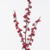 Artificial Branch fruit Holly berry single stem GS-57726009_8 Artificial Branch fruit 15*6*80cm Holly berry single stem GS-57726009 2026Aug 3,000+ sqm showroom with thousands of artificial flowers, plants & trees ready for global sourcing.