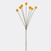Artificial Flower 11*4*61cm Abiu *7 single stem GS-51626019 2026Aug 3,000+ sqm showroom with thousands of artificial flowers, plants & trees ready for global sourcing.