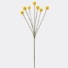 Artificial Flower 11*4*61cm Abiu *7 single stem GS-51626019 2026Aug 3,000+ sqm showroom with thousands of artificial flowers, plants & trees ready for global sourcing.
