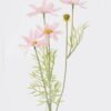 Artificial Flower African daisy single stem GS-74226014_2 Artificial Flower 10*7*51cm African daisy single stem GS-74226014 2026Aug 3,000+ sqm showroom with thousands of artificial flowers, plants & trees ready for global sourcing.