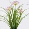 Artificial Flower Agapanthus in PP pot GS-39126007-P1_4 Artificial Flower 30*27*56cm Agapanthus in PP pot GS-39126007-P1 2026Jul 3,000+ sqm showroom with thousands of artificial flowers, plants & trees ready for global sourcing.