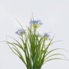Artificial Flower Agapanthus in PP pot GS-39126007_2 Artificial Flower 30*27*56cm Agapanthus in PP pot GS-39126007 2026Jul 3,000+ sqm showroom with thousands of artificial flowers, plants & trees ready for global sourcing.