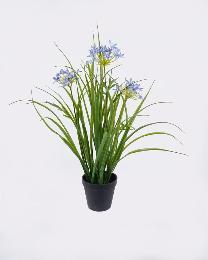 Artificial Flower Agapanthus in PP pot GS-39126007_3 Artificial Flower 30*27*56cm Agapanthus in PP pot GS-39126007 2026Jul 3,000+ sqm showroom with thousands of artificial flowers, plants & trees ready for global sourcing.